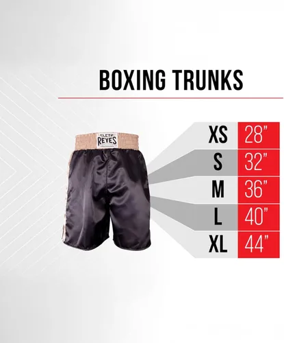 Vista 8 de CLETO REYES - Bañadores metálicos de boxeo