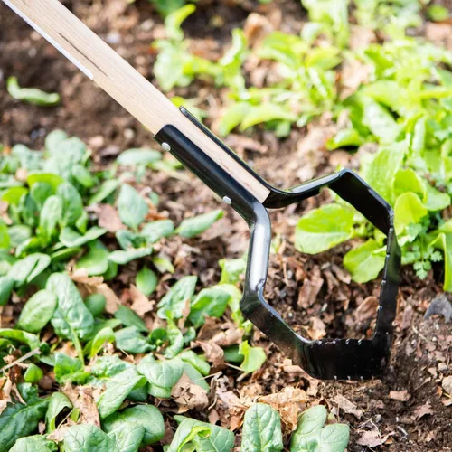 Vista 2 de Cuchilla en V para raíces profundas y mejor cultivo, fabricada en EE. UU