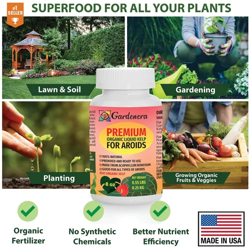 Vista 6 de GARDENERA Superalimento orgánico prémium de algas marinas y algas marinas para plantas AROID - 32 oz - Concentrado de fertilizante líquido de algas