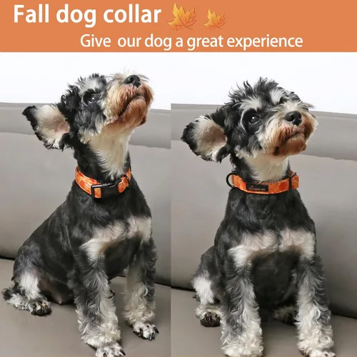 Vista 3 de Aring Pet Collar de algodón, ligero y ajustable, con hebilla de liberación rápida, para perros pequeños, medianos y grandes, otoño, naranja, hojas