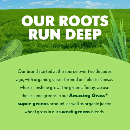 Vista 4 de Amazing Grass Greens Blend Superfood - Cápsulas de polvo de vegetales con espirulina, clorella, raíz de remolacha, enzimas digestivas y probióticos