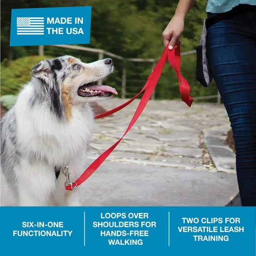 Vista 3 de Blue-9 Correa multifunción para perro manos libres, doble accesorio de 6 pies, correa ajustable para obediencia, correr y entrenamiento de agilidad