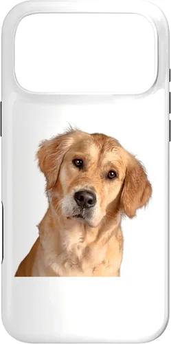Vista 22 de American Golden Retriever Dog Sweet and Quizzical Case for iPhone 17