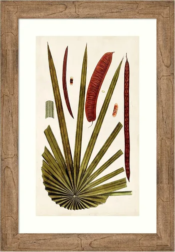 Vista 8 de Amanti Art Vision Studio - Lienzo decorativo para pared, 24 x 17 pulgadas, variedades de hojas VI por Vision Studio, arte de pared de naturaleza