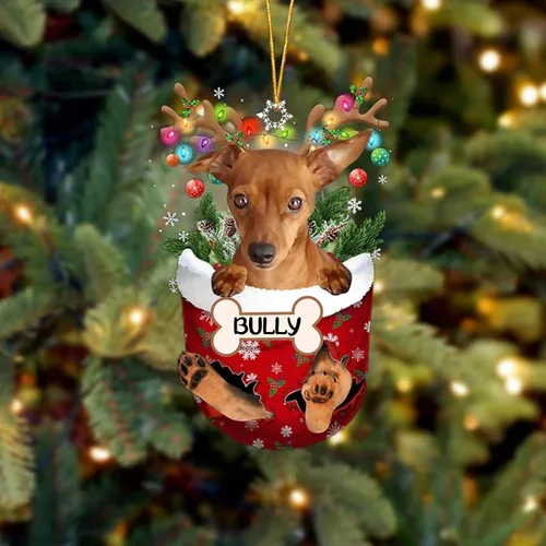 Vista 75 de IZI POD Affenpinscher Adorno de Navidad personalizado para perro, adorno de bolsillo de nieve para perro para árbol de Navidad, adorno acrílico