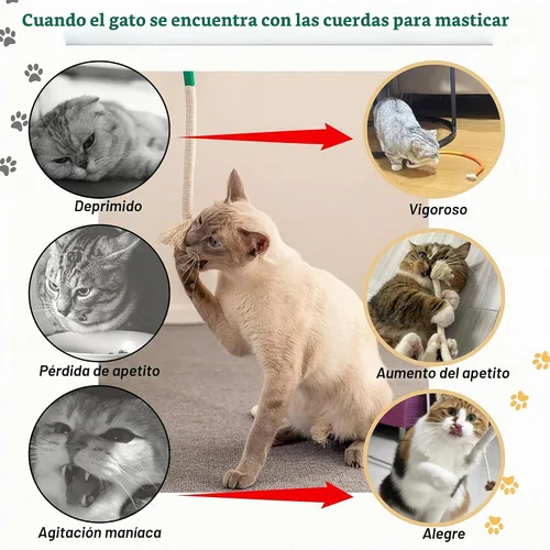 Vista 5 de Juguetes masticables para gatos, palos de Silvervine para gatos, cuerda de limpieza de dientes, cuidado dental de dentición de gatitos, gatito