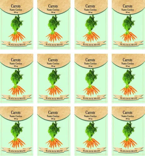 Vista 19 de Juego de 12 paquetes de semillas de verduras de roqueta de rúcula, crea un jardín de lujo, todas las semillas son reliquias, 100% sin OMG