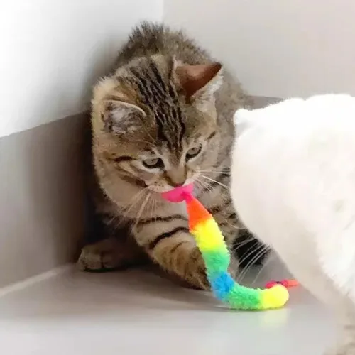 Vista 6 de Paquete de 5 bolas interactivas para gatos con gusano arcoíris para gatos