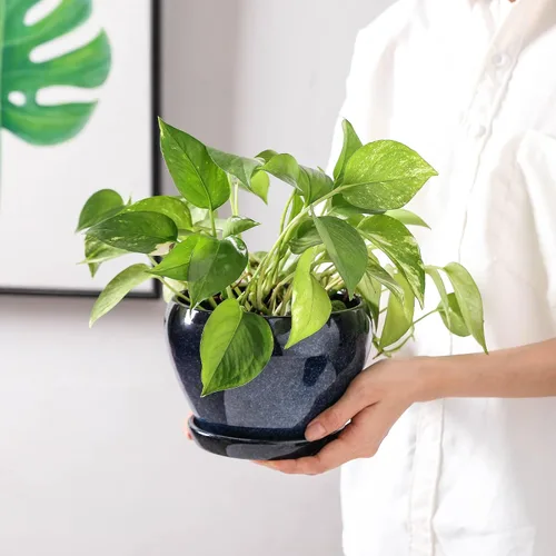 Vista 7 de vicrays Macetas de cerámica para plantas de interior - Maceta de 6.5 pulgadas con orificio de drenaje y platillo para suculentas, orquídeas, flores