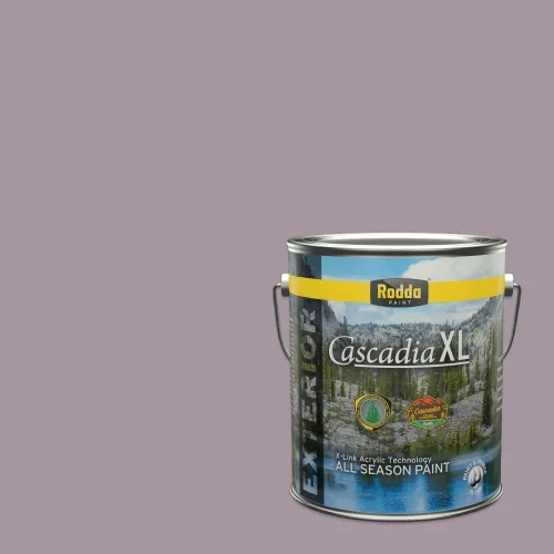 Vista 173 de Rodda Paint CASCADIA XL - Pintura e imprimación satinada para exteriores en uno, cuarto de galón, blanco abstracto