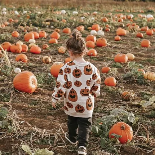 Vista 4 de Conjunto de parche de calabaza para bebé recién nacido y niña de gran tamaño sudadera con capucha
