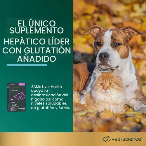 Vista 4 de VetriScience - Tabletas para la misma salud hepática para gatos y perros