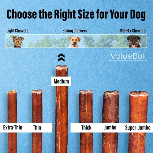 Vista 3 de ValueBull Bully Sticks para perros, medianos de 12 pulgadas, 100 unidades, totalmente naturales, alimentados con pasto, de un solo ingrediente