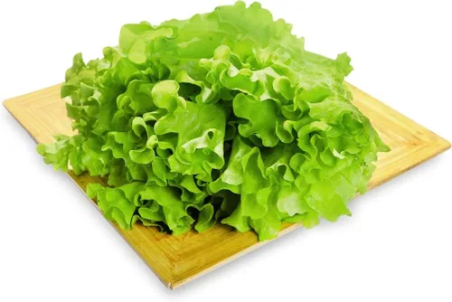 Vista 2 de Lechuga de hoja rizada más de 1000 semillas para plantar sin OMG