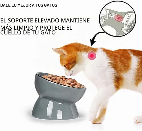 Vista 4 de ONTUBE Cuenco elevado de cerámica para gatos, 10 oz (gris)