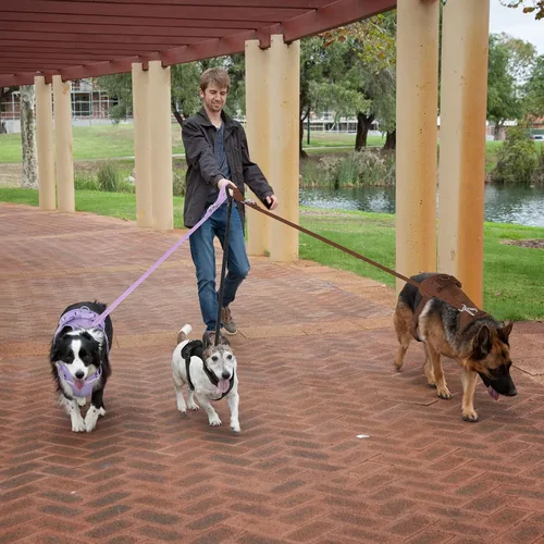 Vista 7 de Arnés ligero para perro sin tirones arnés ajustable y duradero de malla transpirable para mascotas con cojín suave y cómodo, para perros pequeños