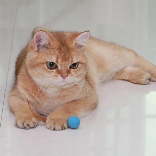 Vista 4 de Pelotas de juguete para gatos con plumas, 3 pelotas interactivas para gatos de interior y gatitos juguetones, juguetes de goma