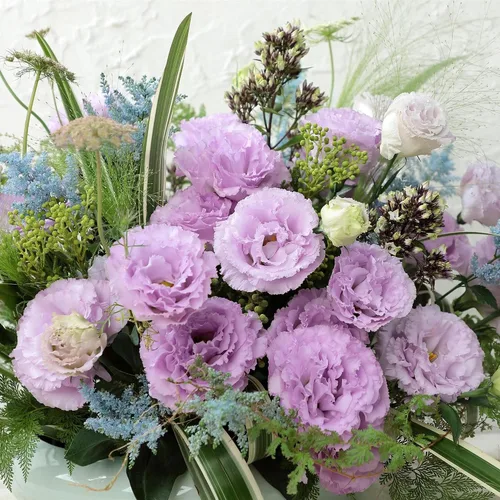 Vista 6 de Eden Brothers Lisianthus Seeds - Rosanne Green (F1)