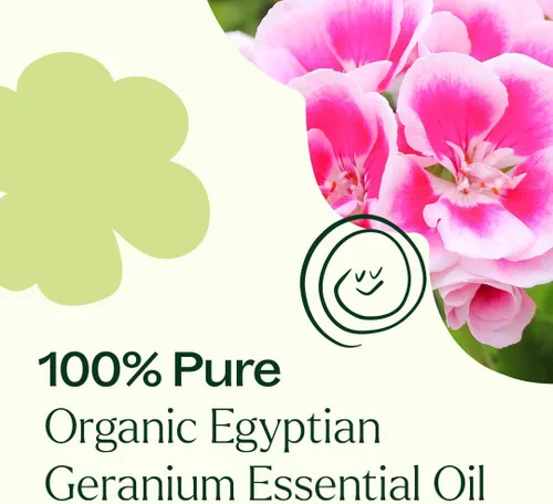 Vista 2 de Plant Therapy Aceite esencial de geranio egipcio orgánico 100% puro, certificado por USDA, orgánico, sin diluir, aromaterapia natural, grado