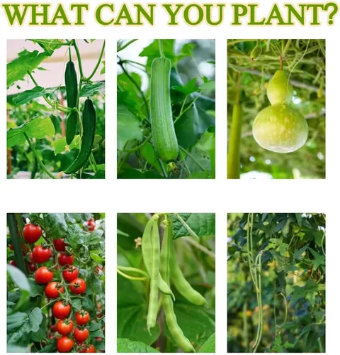 Vista 8 de Estacas de jardín de 60 pulgadas / 5 pies, 50 estacas para plantas, recubierto de plástico y tubo de acero, varillas de tomate resistentes
