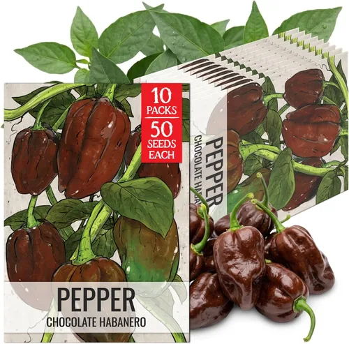 Vista 116 de Seed Needs - Semillas de pimiento arcoíris para plantar verduras, 1 paquete