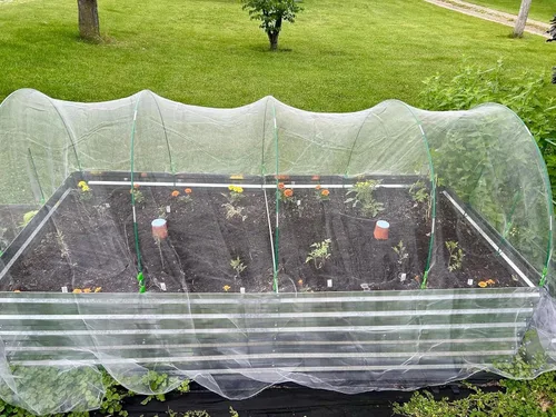 Vista 7 de Red de barrera de plagas de jardín, red de barrera de insectos de 4 x 26 pies, red ultra fina de malla gruesa para plantas vegetales, frutas