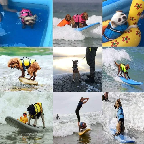Vista 6 de HAOCOO - Chaleco salvavidas para perro, chaleco salvavidas, traje de baño de seguridad con rayas reflectantes/cinturón ajustable para perro.