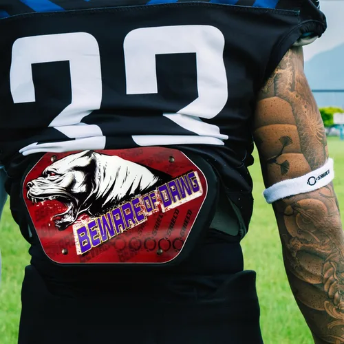 Vista 5 de O Shield Football Backplate for Shoulder Pads, Expression Series