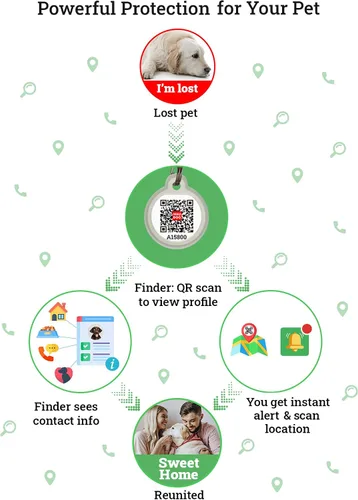 Vista 4 de Etiquetas de identificación de mascotas con código QR de silicona para perros y gatos, etiqueta silenciosa con nombre de perro y etiqueta de nombre