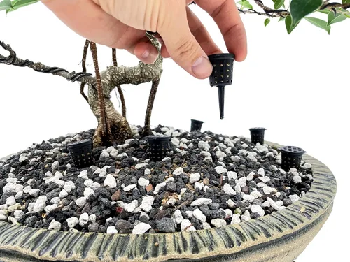 Vista 3 de Cestas de fertilizante para bonsái (10 piezas) de The Bonsai Supply