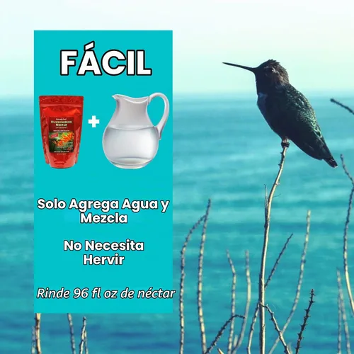 Vista 2 de Polvo de néctar de colibrí naturalmente fresco con defensor de néctar