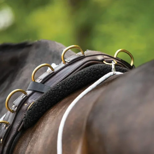 Vista 3 de Sistema de entrenamiento europeo avanzado Herramienta de entrenamiento avanzada Mejora el carro de caballos y los auriculares Fomenta
