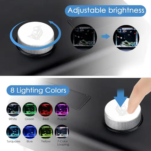 Vista 8 de AQQA Kits de acuario de 1.5 galones de escritorio para pecera pequeña