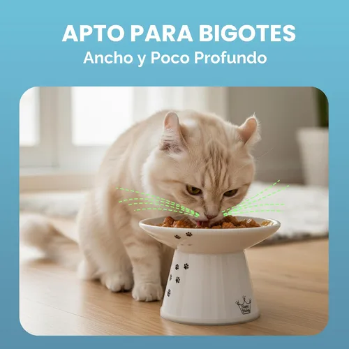 Vista 5 de Tazón elevado de comida para gatos Necoichi – Tazón elevado de cerámica para gatos para fatiga de bigotes y cuello, apto para lavavajillas