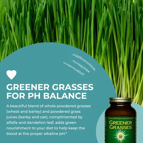 Vista 5 de HEALTHFORCE SUPERFOODS Hierbas más verdes - Polvo de 10 onzas