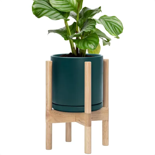 Vista 69 de D'vine Dev Maceta de cerámica con soporte de ébano – Maceta redonda moderna de 8 pulgadas con soporte para maceta de madera, color negro, 55-B-M-2