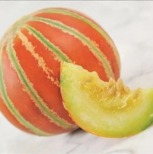 Vista 4 de Semillas de melón Kajari - Deliciosas y nutritivas, melón dulce - Blanco con verde y naranja - 5 semillas