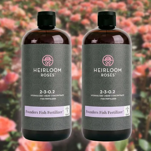 Vista 8 de Heirloom Roses, Get Growing Bundle, kit de plantación y cuidado de rosas y flores, grande