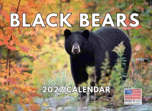 Vista 78 de Calendario mensual de pared de alpaca 2025 Fabricado en Estados Unidos