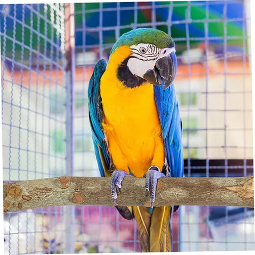 Vista 6 de Juguetes para loros, 8 piezas de perca de madera natural para pájaros, juguetes de periquito colgables, parque infantil para loros, periquitos