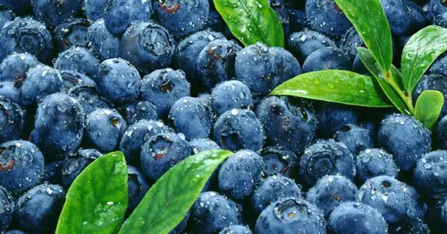 Vista 6 de Flora Foods Conservas orgánicas de arándanos Hecho con azúcares de frutas naturales 12 oz (340 g) 100% fruta 100% italiana Calidad premium