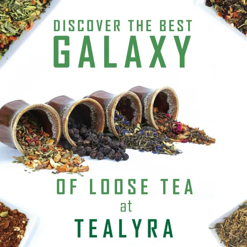 Vista 4 de Tealyra - Té verde japonés Sencha Tenkaichi - Hecho a mano Premium 1st Flush - Cultivado en Japón - Té de hojas sueltas - Nivel de cafeína medio