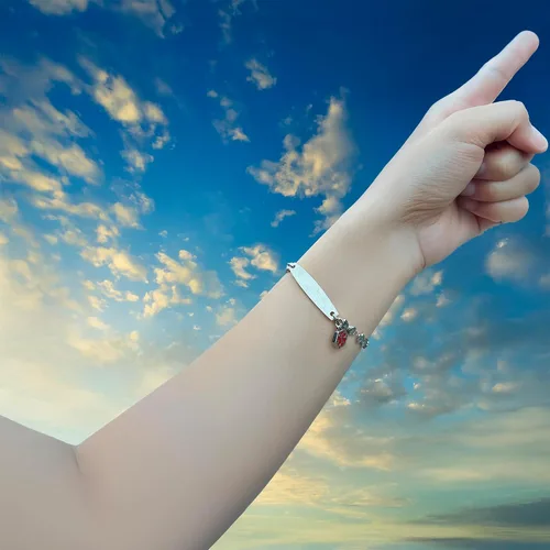 Vista 17 de LinnaLove - Pulsera de identificación de alerta médica con cadena Rolo simple pregrabada para mujer