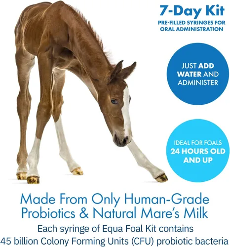 Vista 4 de HealthyGut - Kit de potro para caballos, suplemento dietético, fórmula totalmente natural (0.49 oz)