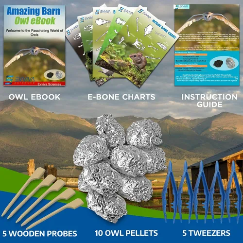 Vista 3 de Amazing Owl - Kit de disección de pellets de búho – Juego de pellets de búho de 10 piezas para proyectos de laboratorio científico – con pinzas