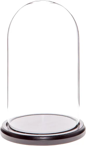 Vista 4 de Plymor Cúpula de cristal de 4.5" x 8" (base de chapa de roble)