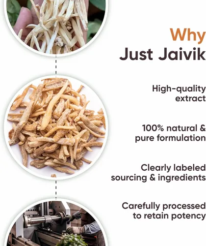 Vista 6 de Polvo Musli 100% orgánico seguro – Chlorphytum Borivillianum 227 GMS / 1/2 libra / 08 onzas – Procesado en instalaciones registradas por la FDA
