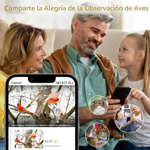 Vista 7 de Comedero para pájaros con cámara, cámara de comedero inteligente WiFi para exteriores con reconocimiento de aves AI incorporado, energía solar