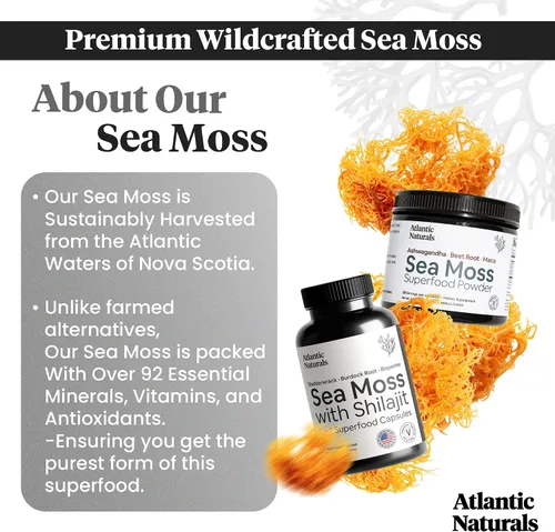 Vista 3 de Atlantic Naturals Paquete de superalimentos de musgo marino – Musgo marino con cápsulas Shilajit 5 en 1 y polvo de musgo marino con ashwagandha