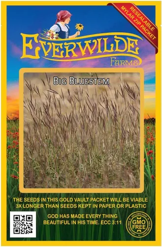 Vista 5 de Everwilde Farms - Semillas de hierba nativa Big Bluestem de 1 onza - Gold Vault